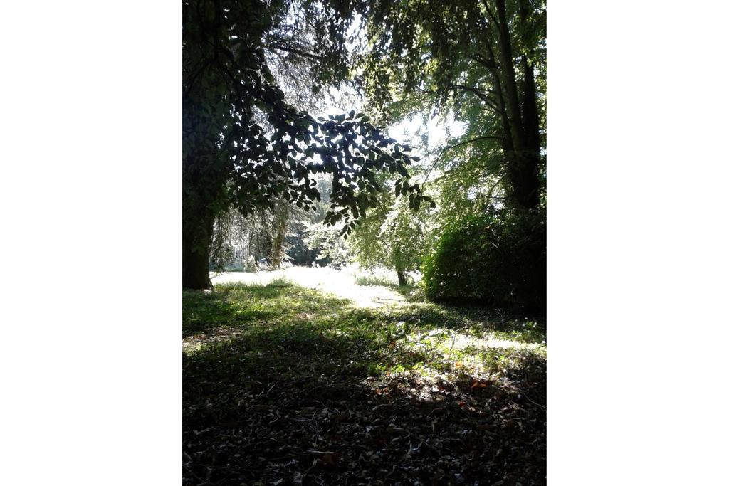 Bulmer Tye House Middleton  Zewnętrze zdjęcie