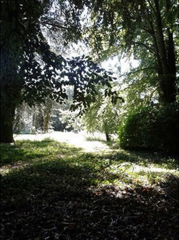 Bulmer Tye House Middleton  Zewnętrze zdjęcie